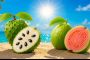 Guava a Guanábana: dvě chutě mimo běžný regál