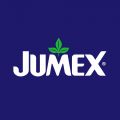 JUMEX TETRAPACK 1000ML - ANANAS-KOKOS